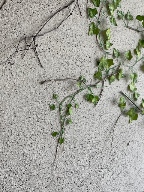 faux-vine-wall-diy